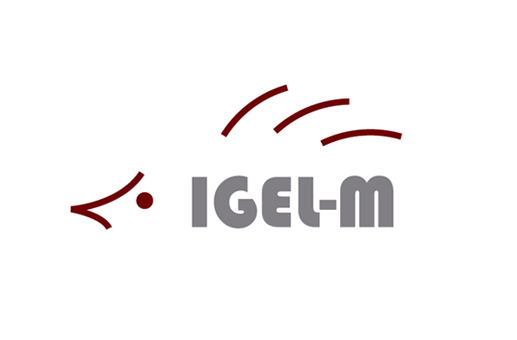 Logo Igel-m Logistik